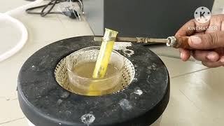 Fructose  Confirmatory test  Osazone test  Carbohydrates  Biochemistry Laboratory [upl. by Magdalene]