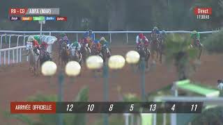 Live Hippodrome « CASABLANCA »  Courses du « 25112024 » [upl. by Lapotin]