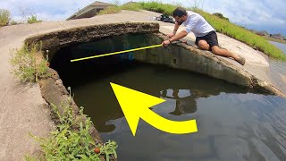 You WONT BELIEVE what lives in this STORM DRAIN MASSIVE [upl. by Nnylyaj]