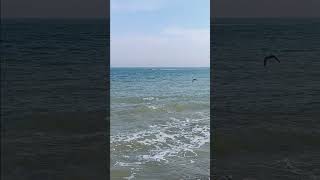 Sheringham lifeboat leaving Cromer [upl. by Oirevas]