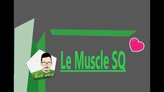 Le Muscle SQ  Part 2  bac tunisie [upl. by Llorrad]