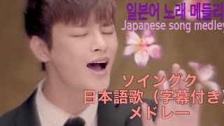 日本語の歌メドレーで💕🎶 字幕付き『일본 노래 메들리 』『Japanese song medley 』ソイングク seoinguk 서인국 徐仁國 [upl. by Isac993]