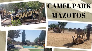 Camel Park Mazotos Larnaca Cyprus  Only €7 Entrance To See And Do So Much  Great Day Out [upl. by Aicek]