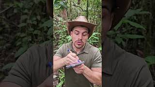 Tuto  BOWHUNTING 🏹 mentawai tribe bow traditional culture plants forest tutorial nature [upl. by Anair]