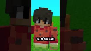 Tu croyais avoir tout vu sur Minecraft [upl. by Schaffer]