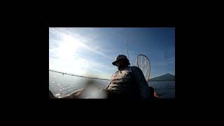 Klamath Lake day 2 Aug 8th more big trout action and tips on how to catch them with Hookup Baits [upl. by Acyssej706]