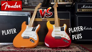 Fender Player vs Player Plus Stratocasters [upl. by Brander]