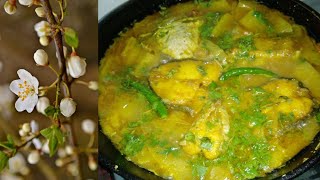 Pangas Mach ranna Bangla Recipe Papaya ranna Bangla Recipepangas fish curryPapaya Diya pangas [upl. by Iht]