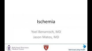 Session 3 Ischemia [upl. by Arman]