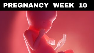 Pregnancy Week 10  Expert Tips for This Week [upl. by Dardani]