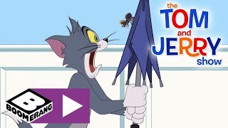 The Tom amp Jerry Show  Spider Hunter  Boomerang UK 🇬🇧 [upl. by Resaec]