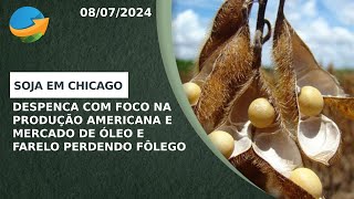 Soja em Chicago despenca com foco na produção americana e mercado de óleo e farelo perdendo fôlego [upl. by Yema]