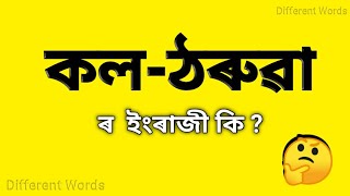 কলঠৰুৱা  ৰ ইংৰাজী কি  কলঠৰুৱা মানে কি  Assamese to English vocabulary  words meaning [upl. by Adolfo]