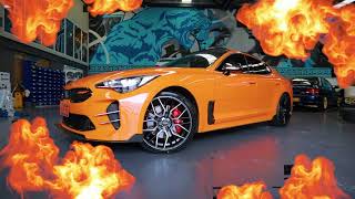 Stunner Stinger LIT up bright  Kia Stinger on husslawheels Lit [upl. by Ulises]