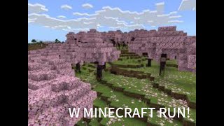 W MINECRAFT RUN PART 1 lets see how this goes [upl. by Eenar]