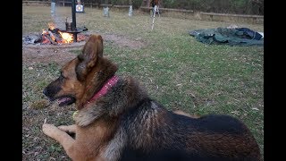 Stringybark Creek  Kelly Tree Campsite [upl. by Eigla]