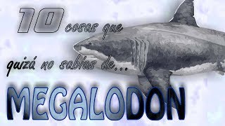 10 cosas que quizá no sabías sobre el verdadero megalodón [upl. by Ailemac]