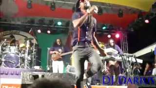 Reggae on the Hill 2014 [upl. by Nainatrad]