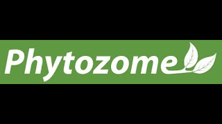 Sorghum genome browser Phytozome [upl. by Benoit]