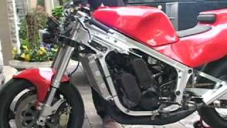 Suzuki RG500 Gamma RG 500 Wolf exhaust Tuned [upl. by Anoed250]