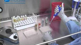 Fungitell® Assay Kit Training Video part 2 [upl. by Merrow109]