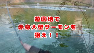 【管釣り】遊園地で正月用のサーモンを狙え！【エリアトラウト】 [upl. by Notsuoh]