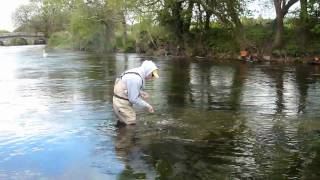 Fly Fishing on Irelands River Tar [upl. by Bywoods]