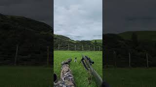 Fallow deer hunting video to come [upl. by Ahseyd]