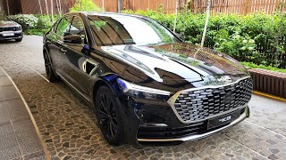 2025 New KIA K9K900 Walkaround Interior amp Exterior First Look [upl. by Bahner]