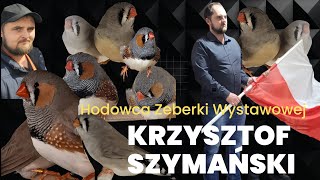 Wirtualny Hodowca odc12Krzysztof SzymańskiZeberka Wystawowa [upl. by Davies]