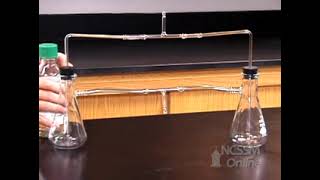 Gas Phase Reaction HCl and NH3 [upl. by Yelsnia]