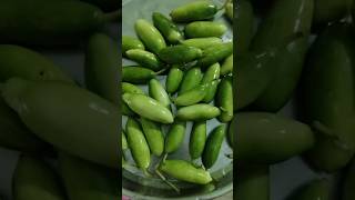 Kundru fry recipe short [upl. by Cicenia754]