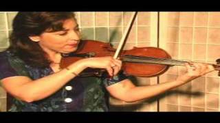 Violin Lesson  Theory  The D Flat Major Scale [upl. by Min226]