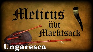 Meticus übt Marktsack Ungaresca Dudelsack Sackpfeife German Bagpipe [upl. by Gough]