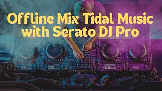 Troubleshot Offline Mix Tidal Music with Serato DJ Pro [upl. by Cronin]