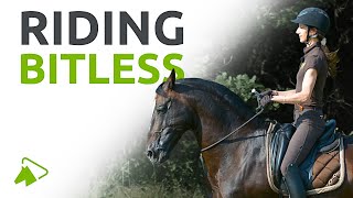 How to Ride Your Horse Bitless Learn with Alizee Froment  wehorse [upl. by Jennings]