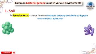 Common soil bacteria bacteriology bacteria microbiology [upl. by Anaer]