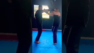 Wing Chun Traning vingtsunkungfu mma wingchun muaythai artemarcial vingtsun kungfu [upl. by Drooff]