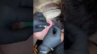 CONCH PIERCING undergroundbodypiercing [upl. by Bellda462]