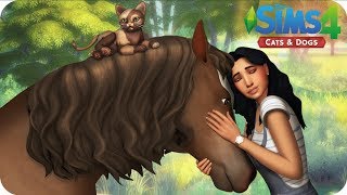 ANIMAL SHELTER  Sims 4 Cats And Dogs Letsplay  EP 23  MATING WITH FIVE DIFFERENT CATS [upl. by Retsbew]