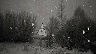 Hiemal — Ashen Winter of Chornobyl 2019 [upl. by Chud]