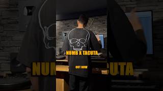 LinkinPark Tacuta X Numb is made for each other tribal remix [upl. by Idelle]