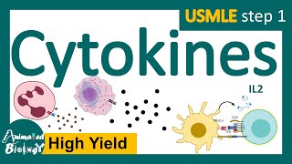 Cytokines  subclasses of cytokines  functions of cytokines  USMLE step 1 [upl. by Niwrad]