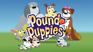 Pound Puppies Season 2 Episode 6  Good Dog McLeish [upl. by Yentterb]