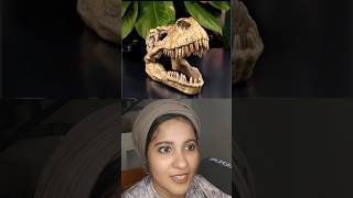 Can you guess the skeleton tamallureaction reactionvideo guessinggame shortsfeed viral [upl. by Lyrred]