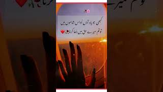 Kabhi jao yad ayepoetry sadpoetrys urdupoetry sad urdupoetry sad deeplovepoetryinurdu [upl. by Ahsilaf227]