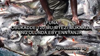 FUNA OBUKADDE 120 MU MYEZI MUKAAGA NGOLUNDA EBYENNYANJA [upl. by Pickett40]