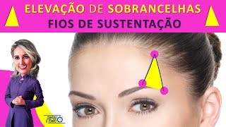 Sobrancelha Arqueada Como elevar a sobrancelha com Fios de Sustentação  quotFOX EYESquot [upl. by Tri]