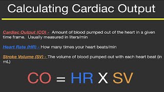 Physiology CALCULATING CARDIAC OUTPUT HEART RATE and STROKE VOLUME Practice Problems [upl. by Gloriana]