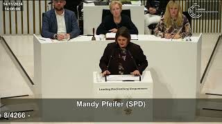 Queeres Leben in MecklenburgVorpommern schützen  Mandy Pfeifer [upl. by Stout453]